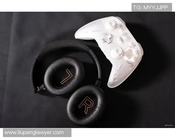 CS_GO装备选购：耳机推荐_1