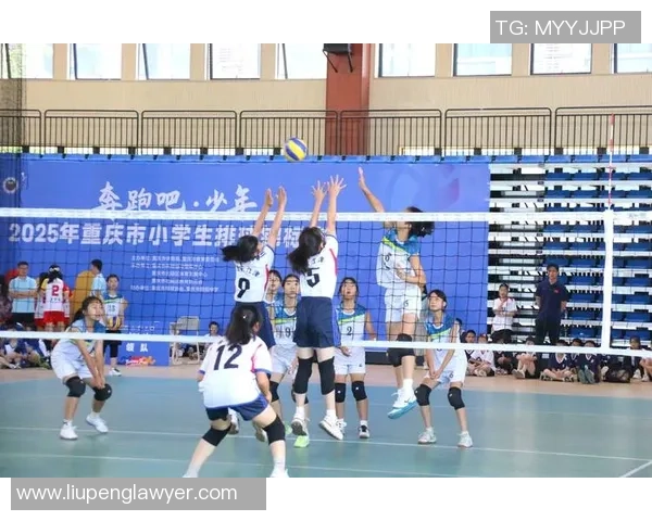 聚焦排球：重庆排球队的速度话题